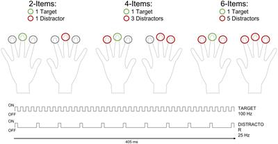 Searching for a tactile target: the impact of set-size on the N140cc